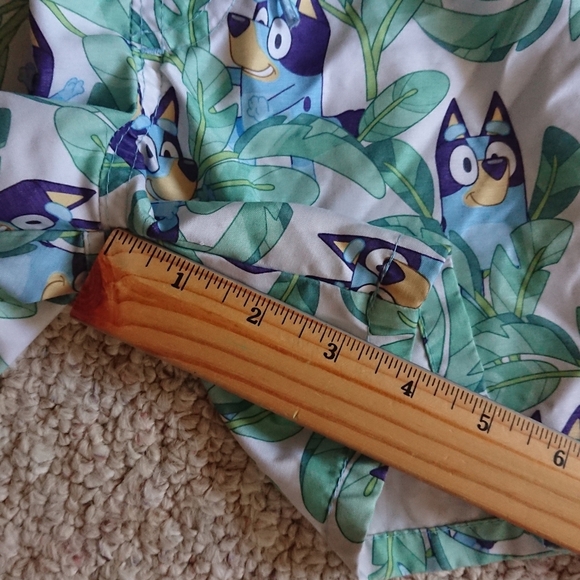 Bluey toddler boy Green swim Shorts SIZE 2T - Picture 9 of 9